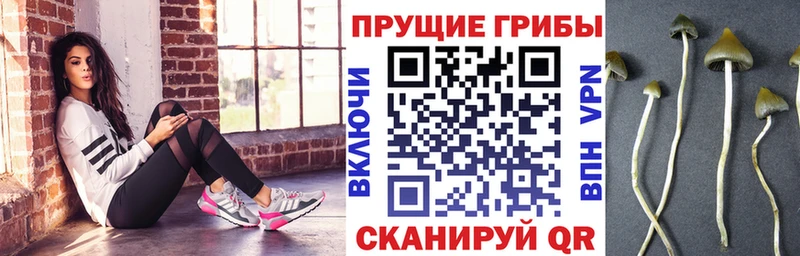 ссылка на мегу зеркало  купить закладку  Муром  Псилоцибиновые грибы мухоморы 