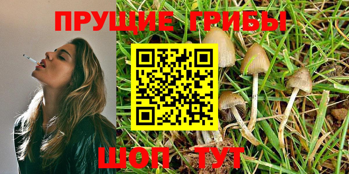 Галлюциногенные грибы GOLDEN TEACHER Муром